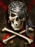 pic for pirate skull